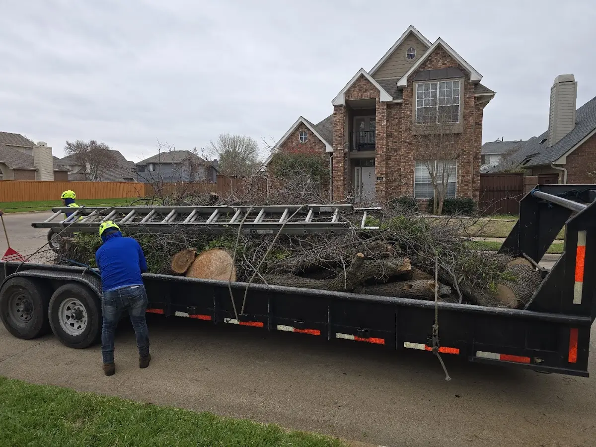 Expert Tree Fertilization with proper safety equipment in North Monmouth